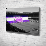Tifo Anderlechtois || R.S.C Anderlecht R.S.C Anderlecht Ultrasfanzone