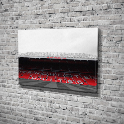 Toiles murales Premier league