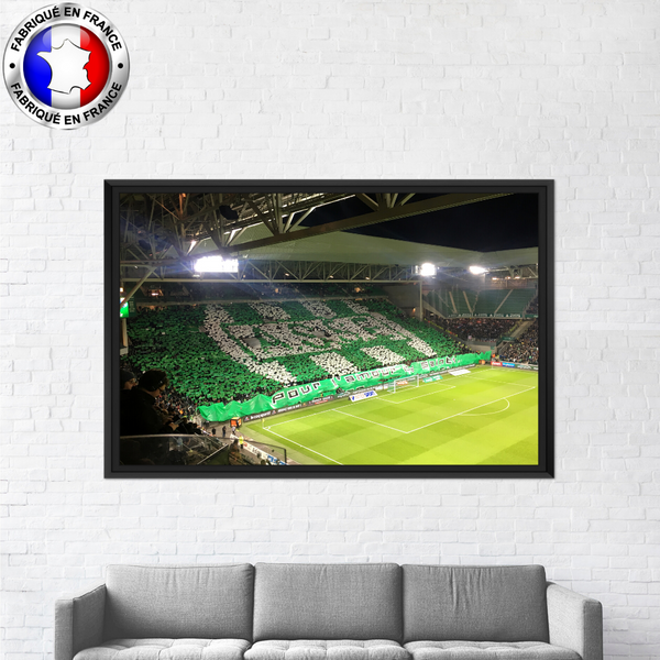 ASSE : Les ultras de Saint-Etienne font encore parler d'eux ASSE : Les ultras de Saint-Etienne font encore parler d'eux